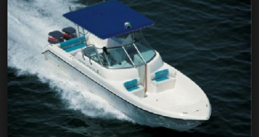 dolphin_boats_ltd