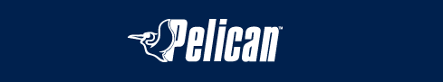 pelican_